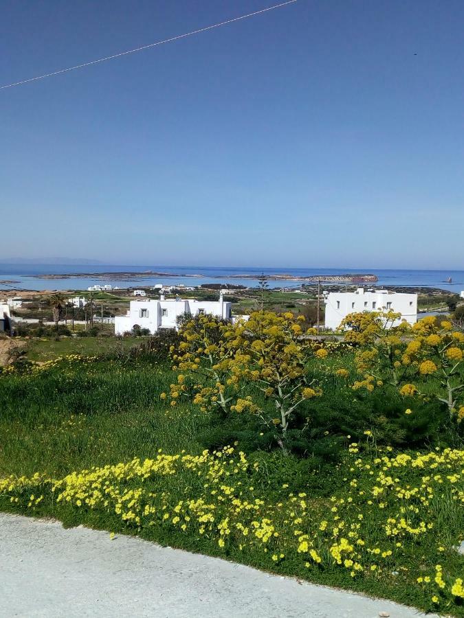 Traditional House Paros Sarakíniko Esterno foto